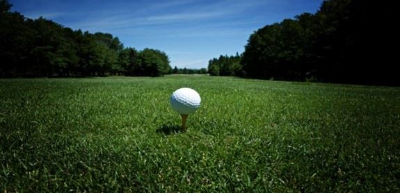Golf ball on tee with grass and trees