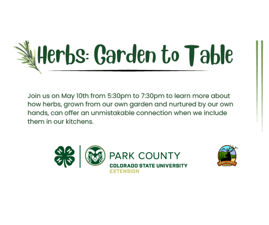 Bailey Community Garden (1)