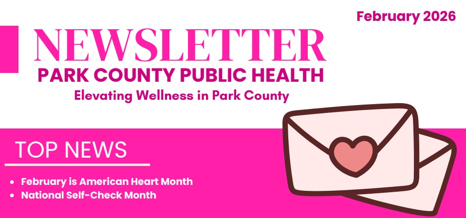 February Public Health Newsletter snapshot